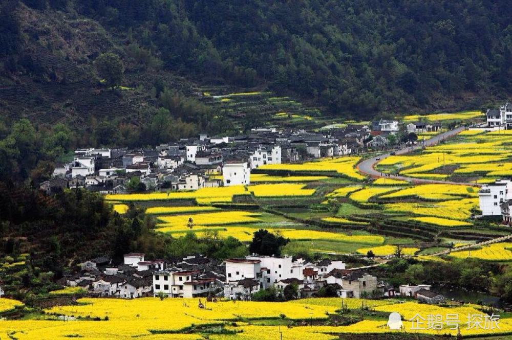 江西，红色沃土绿色发展，共筑美好未来展望