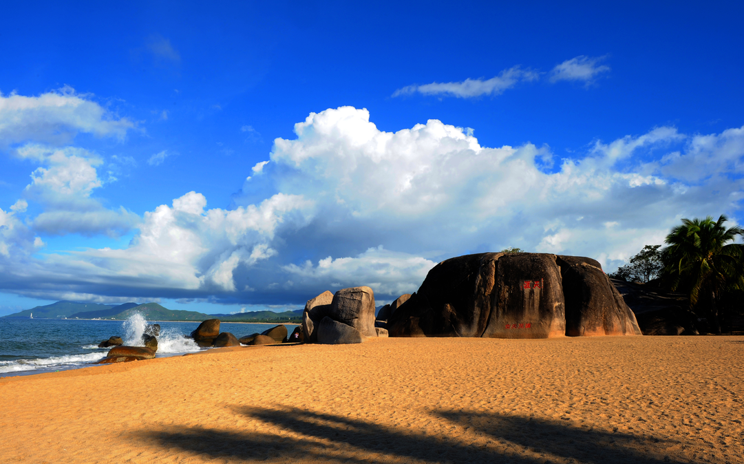 海南热带风情，无限商机等你来探索