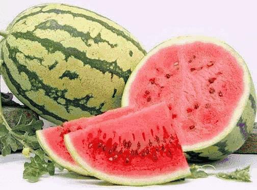 探寻塞外江南的瑰丽之旅，走进神秘宁夏