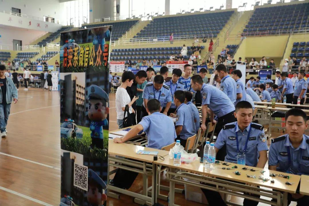 三秦大地，陕西——历史长河中的文化瑰宝